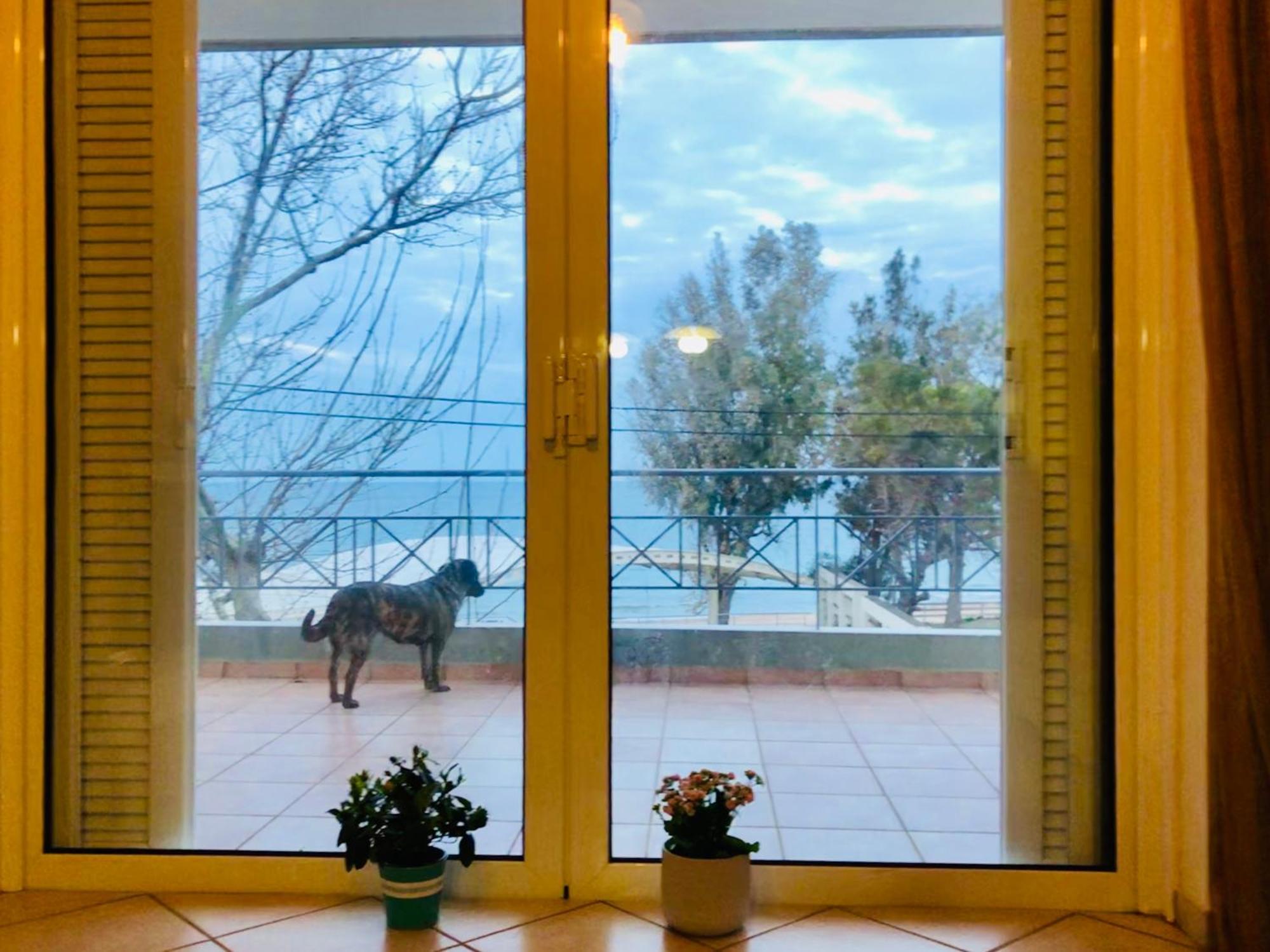 Chloe'S Sunrise Beach House Βίλα Αθήνα Εξωτερικό φωτογραφία